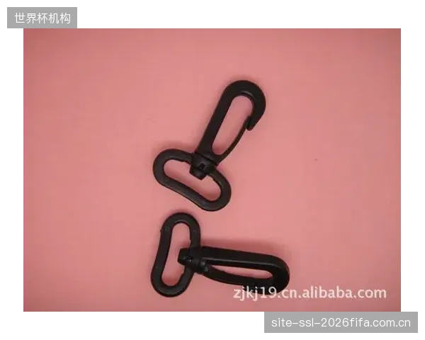 对扣具疲劳极限的深入研究，最终可能指向终极目标：利用新材料科技，探索“无扣具”雪鞋设计的可能性